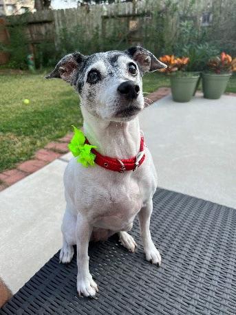 Kjersti Aagaard Lab Fun | BCM